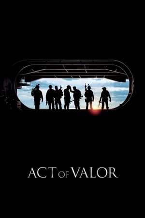 Act of Valor (2012) Hindi Dual Audio 480p BluRay 390MB Act of Valor (2012) Hindi Dual Audio 480p BluRay 390MB