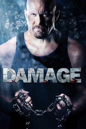 Damage 2009 Hindi Dual Audio 480p BluRay 330MB Damage 2009 Hindi Dual Audio 480p BluRay 330MB