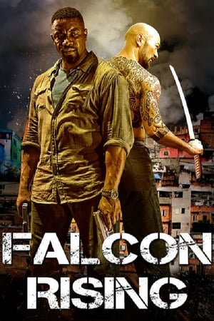 Falcon Rising (2014) Hindi Dual Audio 480p BluRay 300MB Falcon Rising (2014) Hindi Dual Audio 480p BluRay 300MB