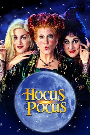 Hocus Pocus 1993 Hindi Dual Audio 480p BluRay 320MB Hocus Pocus 1993 Hindi Dual Audio 480p BluRay 320MB