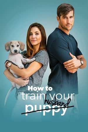 How to Train Your Husband 2018 Hindi Dual Audio 480p BluRay 300MB How to Train Your Husband 2018 Hindi Dual Audio 480p BluRay 300MB