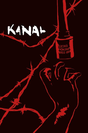 Kanal 2015 Hindi Dual Audio 480p UnCut HDRip 450MB Kanal 2015 Hindi Dual Audio 480p UnCut HDRip 450MB