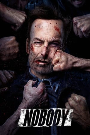 Nobody (2021) Hindi Dual Audio BluRay – 720p – 480p Nobody (2021) Hindi Dual Audio BluRay – 720p – 480p