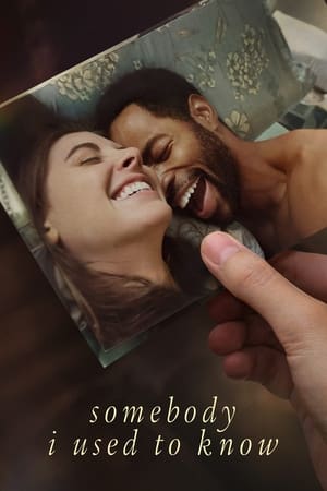 Somebody I Used to Know 2023 Hindi Dual Audio HDRip 720p – 480p Somebody I Used to Know 2023 Hindi Dual Audio HDRip 720p – 480p