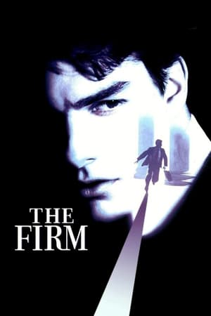 The Firm (1993) Hindi Dual Audio 480p BluRay 450MB The Firm (1993) Hindi Dual Audio 480p BluRay 450MB